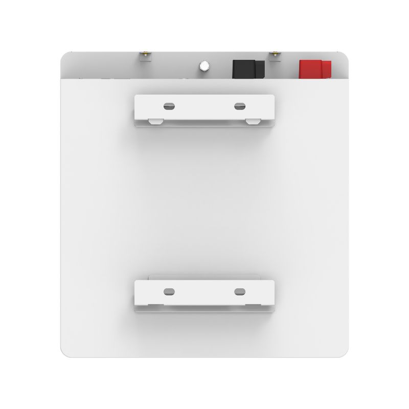 51.2V 100Ah 锂电池