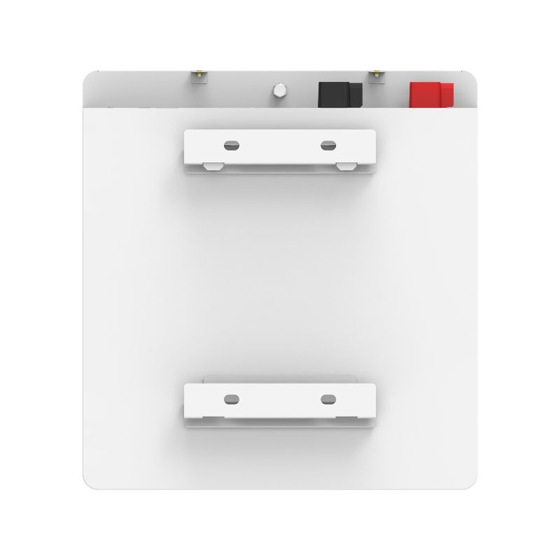 51.2V 100Ah 锂电池